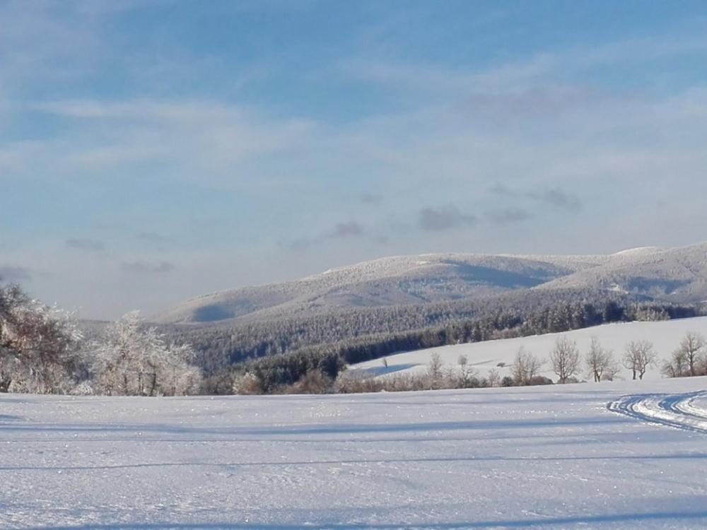 Rodinny Apartman 3+1 Horni Mesto Екстериор снимка